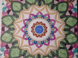 whatsapp image 2025-12-27 at 17.33.14